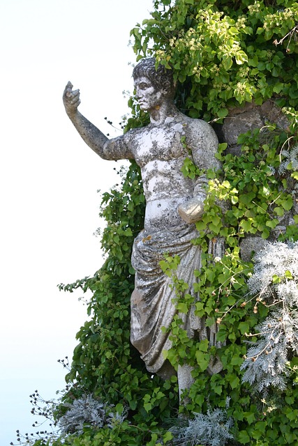 personas leyendo guías comunitarias y organizando voluntariado en España